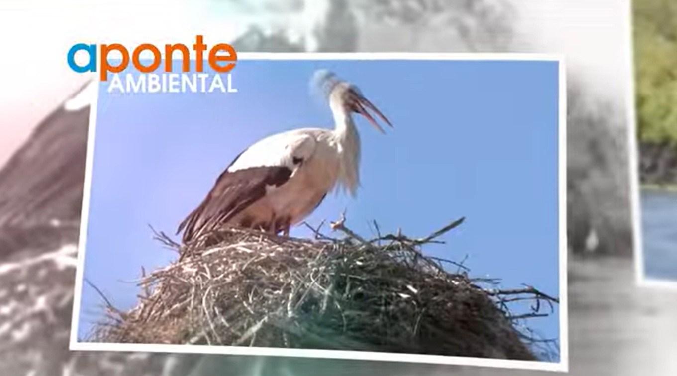 Beja cria o primeiro Abrigo Climático de Portugal uma nova forma de proteger as cidades