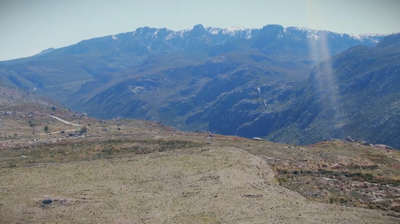 Projeto Interreg Refloresta